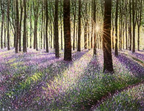 Bluebell Woodland Landscape