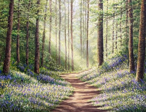 Pathway to Light